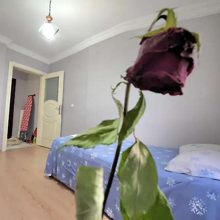 Private Homestay
